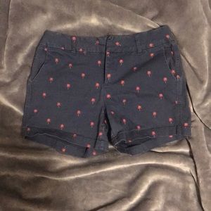 🌴Hannah shorts |🌸